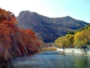 管家婆黑白马报图库，刘恺威 整容